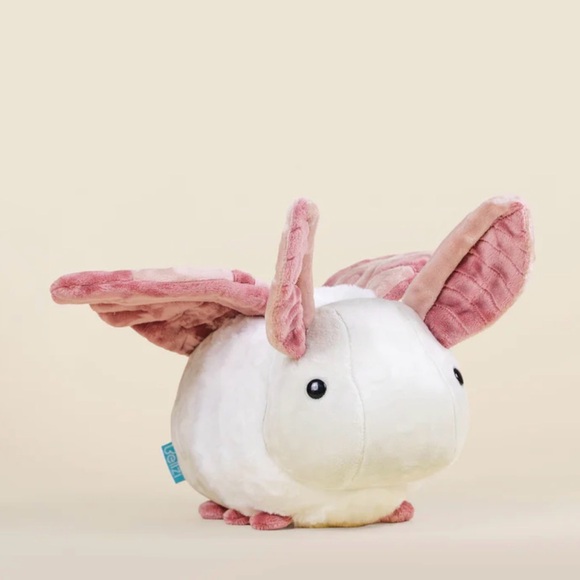 Bellzi Mothi the moth - Picture 2 of 11